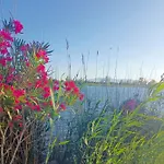 La Daurada Διαμέρισμα